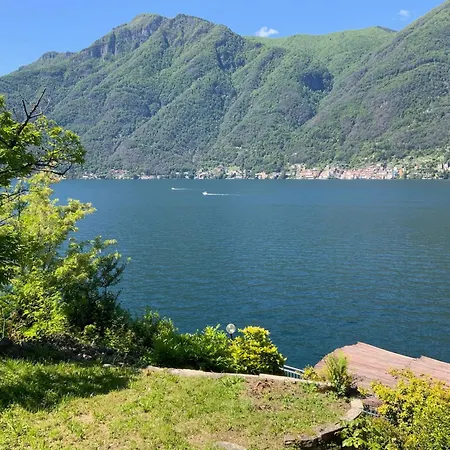 Rosina Vista *